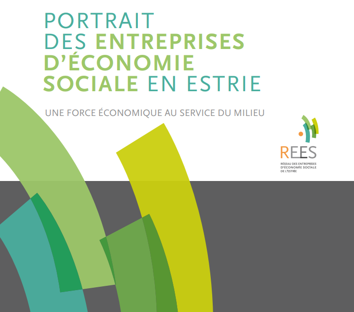 Portrait-des-entreprises-deconomie-sociale-en-Estrie-1.png